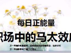 每日正能量职场中的马太效应9页.ppt