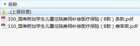 国寿附加学生儿童住院费用补偿医疗保险B款条款费率表.rar