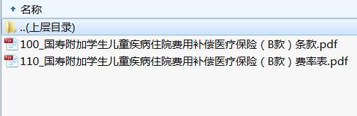 国寿附加学生儿童疾病住院费用补偿医疗保险B款条款费率表.rar