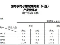 国寿农村小额定期寿险A型条款费率表.rar