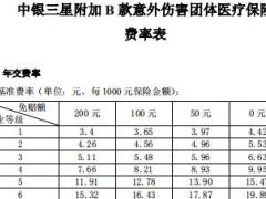 中银三星附加B款意外伤害团体医疗保险条款费率.rar