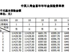 中英人寿金喜年年年金保险条款费率表.rar