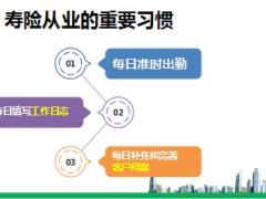 个险新任岗位人员11习惯40页.ppt