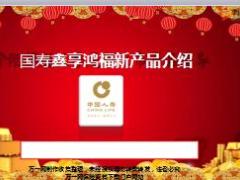 国寿鑫享鸿福背景卖点介绍保险责任25页.ppt