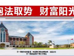 阳光2018基本法高新业务员主任经理打造计算33页.ppt