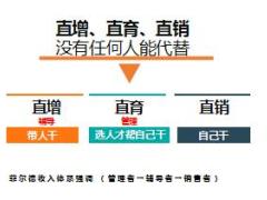 阳光2018基本法优势初心发展阶段导向59页.ppt