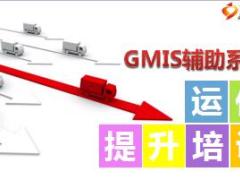 国寿GMIS辅助系统运作提升培训31页.ppt