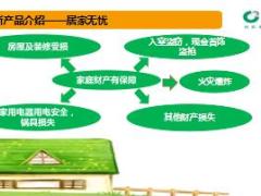 国寿财险居家无忧家财险产品介绍15页.ppt