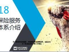 2018大童保险服务荣誉体系介绍46页.ppt