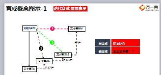 阳光2018基本法新法育成特色利益18页.ppt