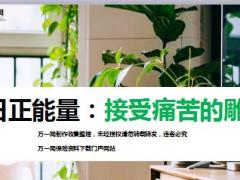 每日正能量接受痛苦的雕琢11页.ppt
