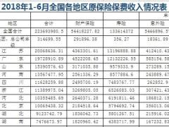 2018年上半年各省市原保险保费收入排名表.xls