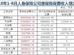 2018年上半年人身保险公司原保险保费收入排名表.xls