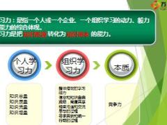 团队学习力执行力20页.ppt