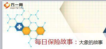 每日保险故事大象的故事10页.ppt