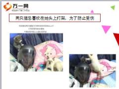 每日快乐早会18年8月22日使用12页.ppt