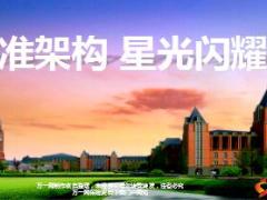阳光人寿标准化建设背景解案例演示工作规划27页.ppt