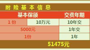 华夏南山松养老年金保险电子建议书1页.xls