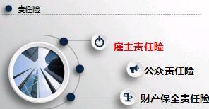 诚泰财险雇主公众财产保全责任险介绍47页.ppt