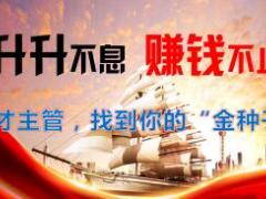 收展主管聘才项目季度方案宣导29页.ppt