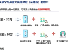 视频国寿康宁至尊绿通服务宣传.rar