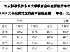 恒安标准筑梦未来大学教育金年金保险条款费率投保规则.rar