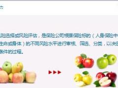健康险专项培训之健康险销售核保新华版含备注44页.ppt