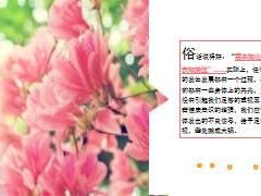 每日健康晨起如有以下症状说明你的身体已经不健康了10页.ppt