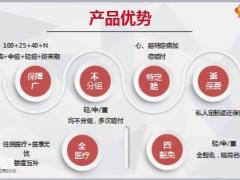 长城吉康人生保险产品优势责任销售思路18页.ppt