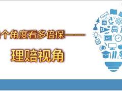 新华人寿多倍保背景篇18页.ppt