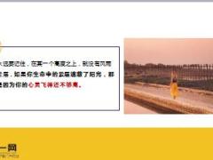 每日鸡汤欲为大树莫与草争.rar
