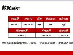 分享家庭套餐销售法典范21页.ppt