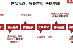 视频分享讲解国寿鑫享鸿福亮点保险利益.rar