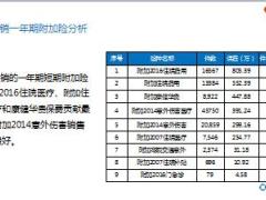 附加险推动报告新华版30页.ppt