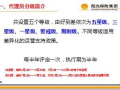 阳光人寿业务员分级管理办法2018版18页.ppt