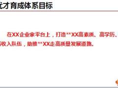 优才增员项目专属育成体系优化版设计思路背景介绍推广要求31页.ppt