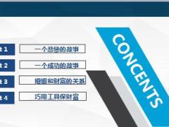 婚姻财富保障保险含备注20页.ppt