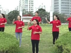 视频手语操我们是一家人晨操.rar