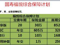 国寿福悦综合保障计划利益分解答案4页.ppt