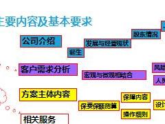团险企业需求分析和计划书设计18页.ppt
