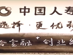 视频中国人寿创业发布会综合金融沙画.rar