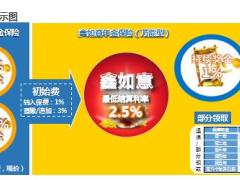 中英人寿金喜年年年金保险产品形态特色利益演示10页.ppt
