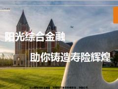 阳光综合金融基本法优势寿险辉煌24页.ppt