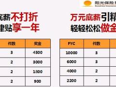 阳光人寿2018基本法新晋主管支持体系21页.ppt