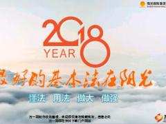 阳光人寿2018基本法提升组织发展11页.ppt
