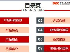 人保健康团险渠道意外险产品借款人意外险篇34页.ppt