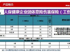 人保健康团险渠道意外险产品团体意外险篇38页.ppt
