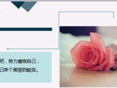 每日鸡汤只有学会选择和懂得放弃的人才能赢得精彩的生活.rar