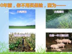泰康2018重疾绿通健康无忧保险责任57页.ppt