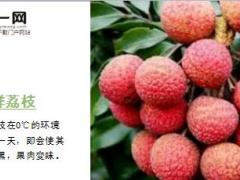 每日健康最不该放冰箱的10种食物9页.ppt